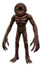Evolution 6